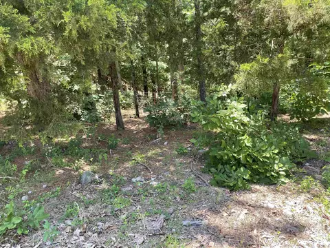 181 Sawtooth, Mountain Pine, AR 71956 photo 26