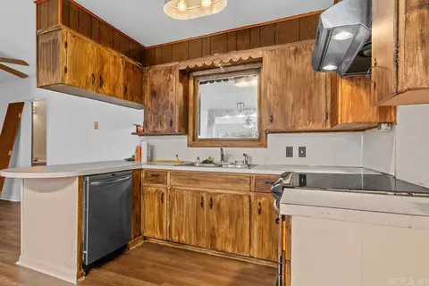 189 Pine St, Clinton, AR 72031 photo 4