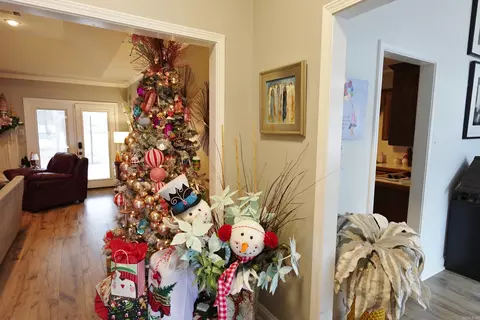 440 Par Fore Dr, Conway, AR 72034 photo 3