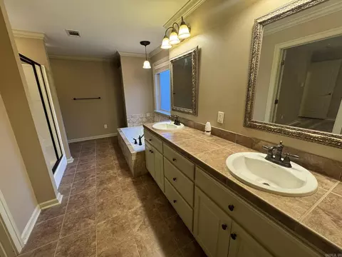 Bath - 519 Derek Ct, Alexander, AR 72002 photo 1 of 5