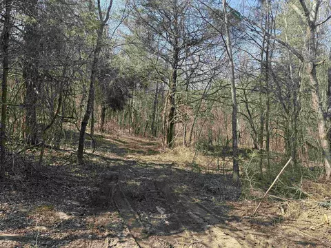 123 Highway 5 N, Mountain View, AR 72560 photo 5