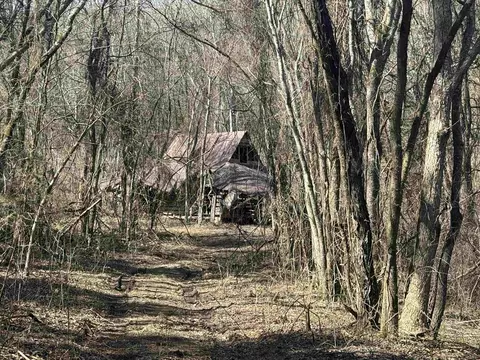 123 Highway 5 N, Mountain View, AR 72560 photo 6
