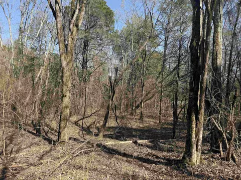 123 Highway 5 N, Mountain View, AR 72560 photo 11