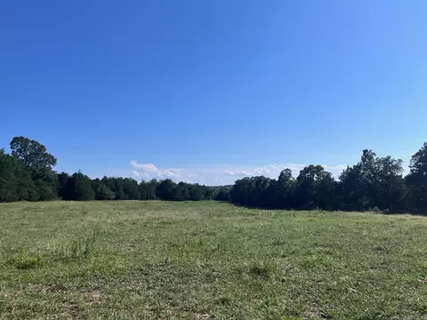 8447 Elizabeth Rd, Viola, AR 72583 photo 19