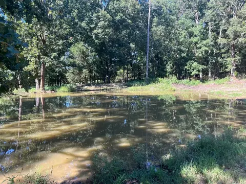 8447 Elizabeth Rd, Viola, AR 72583 photo 23