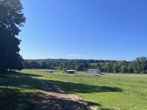 8447 Elizabeth Rd, Viola, AR 72583 photo 24