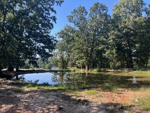8447 Elizabeth Rd, Viola, AR 72583 photo 22