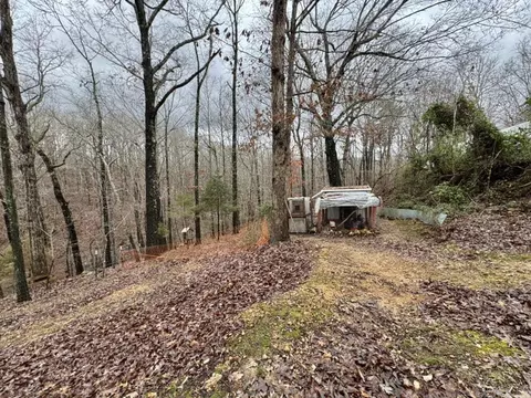 1706 Herpel Rd, Mountain View, AR 72560 photo 26