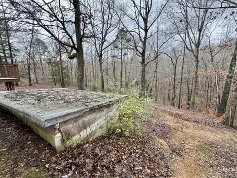 1706 Herpel Rd, Mountain View, AR 72560 photo 27