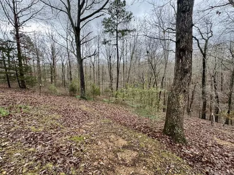1706 Herpel Rd, Mountain View, AR 72560 photo 25
