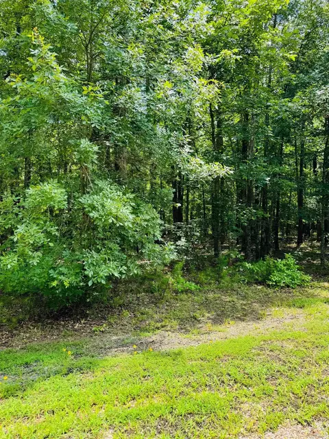 lot43 Primrose Crk, Heber Springs, AR 72543
