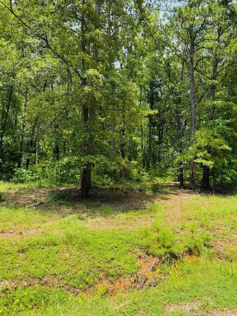 lot45 Primrose Crk, Heber Springs, AR 72543
