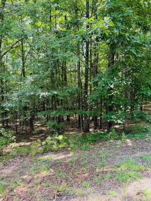 lot56 Primrose Crk, Heber Springs, AR 72543