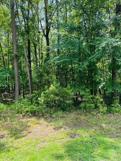 lot39 Primrose Crk, Heber Springs, AR 72543