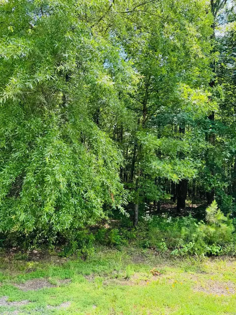 lot42 Primrose Crk, Heber Springs, AR 72543