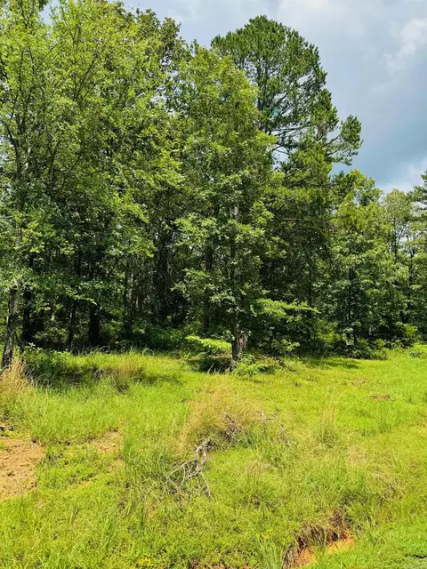 lot46 Primrose Crk, Heber Springs, AR 72543