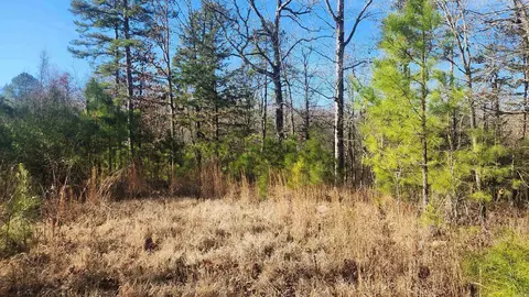 258 Wade Rd, Norman, AR 71960 photo 25
