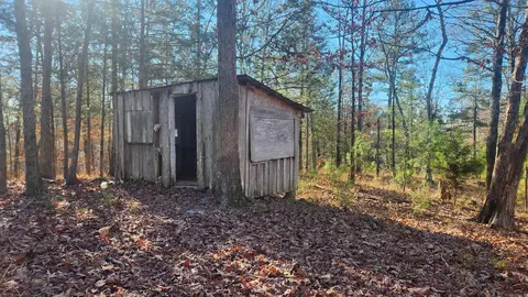 258 Wade Rd, Norman, AR 71960 photo 6