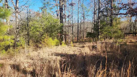 258 Wade Rd, Norman, AR 71960 photo 24