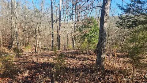 258 Wade Rd, Norman, AR 71960 photo 19