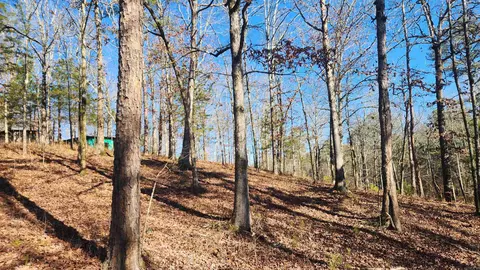258 Wade Rd, Norman, AR 71960 photo 30