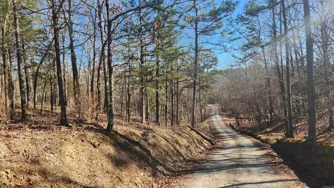 258 Wade Rd, Norman, AR 71960 photo 2