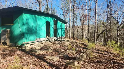 258 Wade Rd, Norman, AR 71960 photo 8