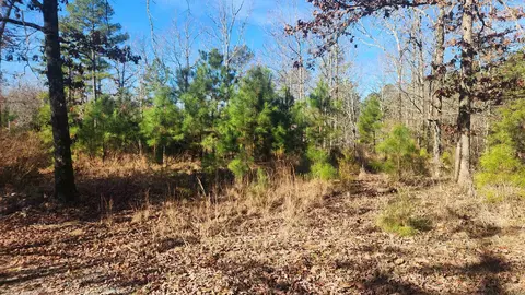 258 Wade Rd, Norman, AR 71960 photo 5