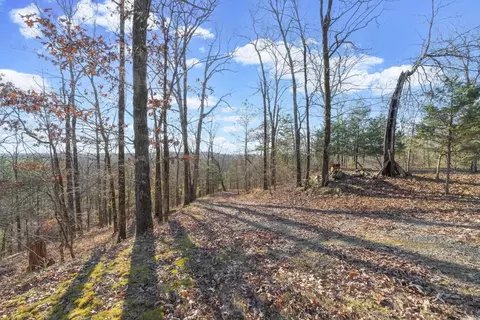 Exterior - 193 Outback Ln, Gillham, AR 71841 photo 6 of 8