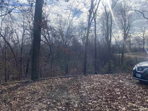 82 Bald Eagle Dr, Williford, AR 72482 photo 8