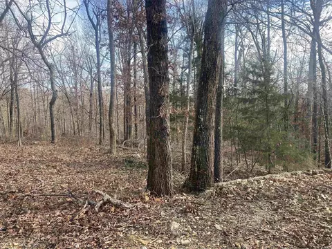 82 Bald Eagle Dr, Williford, AR 72482 photo 7
