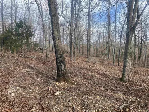 82 Bald Eagle Dr, Williford, AR 72482 photo 6