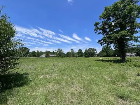 156 Casey Ln, Searcy, AR 72143 photo 4
