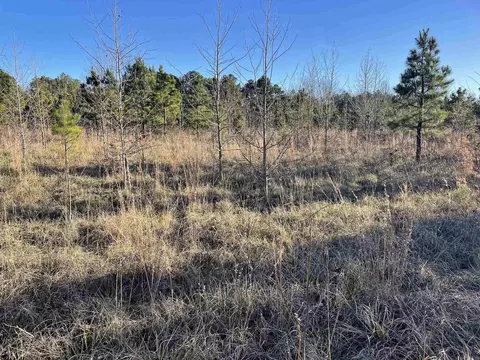 628 Rex Rd, Clinton, AR 72031 photo 43