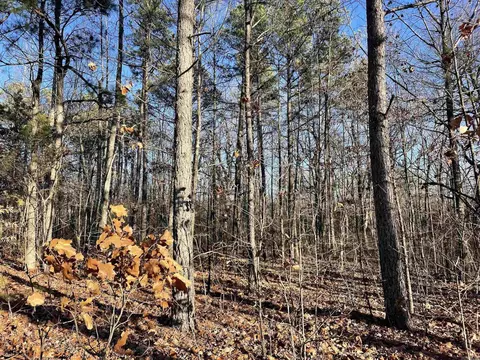 628 Rex Rd, Clinton, AR 72031 photo 23