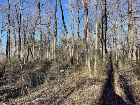 628 Rex Rd, Clinton, AR 72031 photo 18