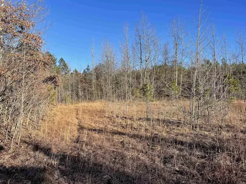 628 Rex Rd, Clinton, AR 72031 photo 36