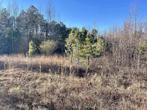 628 Rex Rd, Clinton, AR 72031 photo 6