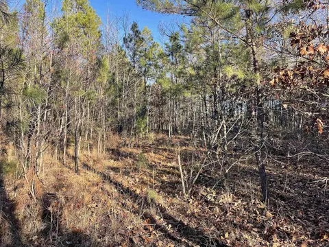628 Rex Rd, Clinton, AR 72031 photo 41