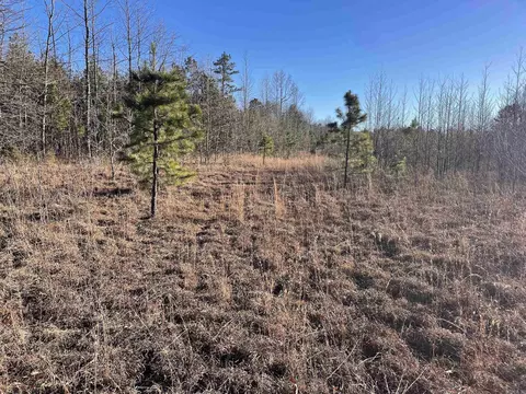 628 Rex Rd, Clinton, AR 72031 photo 38