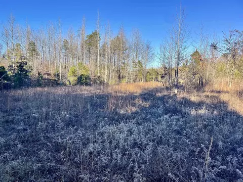 628 Rex Rd, Clinton, AR 72031 photo 7
