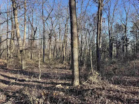 628 Rex Rd, Clinton, AR 72031 photo 30