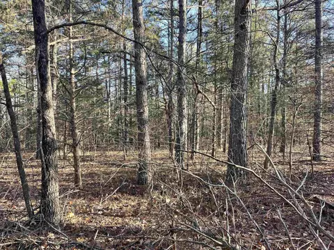 628 Rex Rd, Clinton, AR 72031 photo 28
