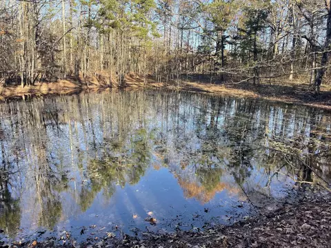 628 Rex Rd, Clinton, AR 72031 photo 14