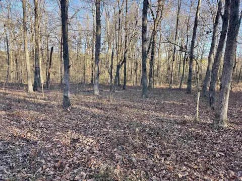 628 Rex Rd, Clinton, AR 72031 photo 33