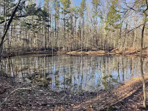 628 Rex Rd, Clinton, AR 72031 photo 13