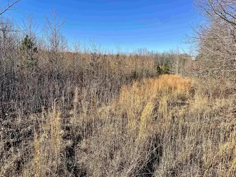 628 Rex Rd, Clinton, AR 72031 photo 2