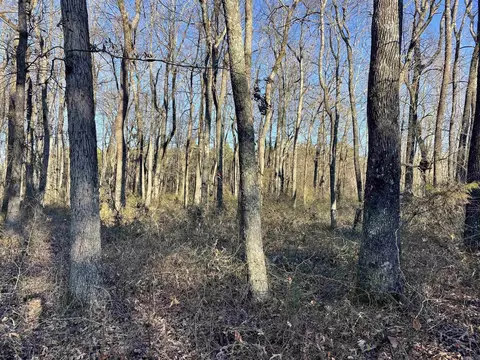 628 Rex Rd, Clinton, AR 72031 photo 34