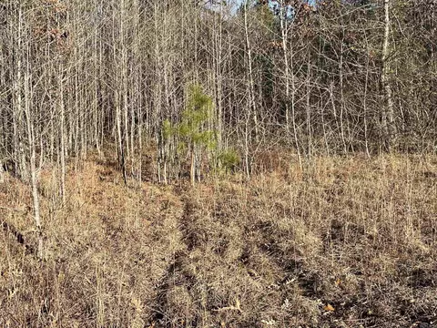628 Rex Rd, Clinton, AR 72031 photo 37