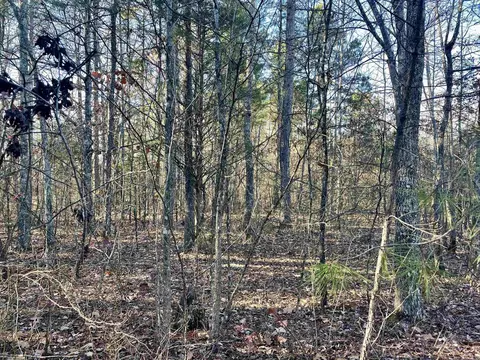628 Rex Rd, Clinton, AR 72031 photo 10